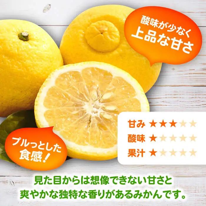 【2027年2月以降発送】はるか 計4.5kg（4kg＋500g傷み保証分）　M-3Lサイズ / 佐賀県 / 山本農園 [41ATBT006]