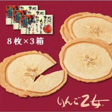 【ふるさと納税】りんご乙女 8枚×3箱【配送不可地域：離島】
