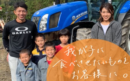 【 全3回 定期便 】米 旋風 贅沢 ブレンド 米 5kg 《糸島》【百笑屋】 [ABF026]  米 お米 白米 精米 定期便 ミルキークイーン ヒノヒカリ