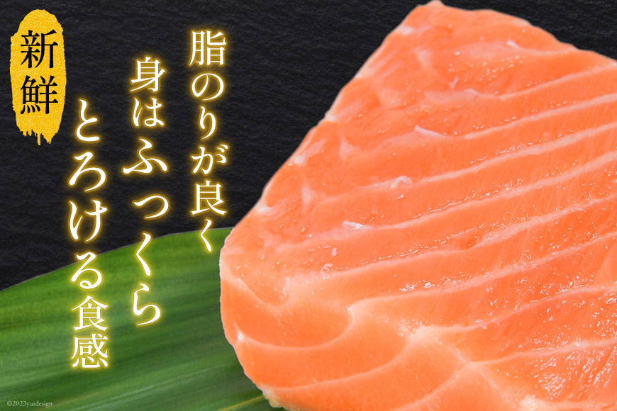ノルウェー産 アトランティックサーモン 総重量800g(正味重量680g) [カネダイ 宮城県 気仙沼市 20564320] 魚 魚介類 アトラン サーモン 刺身 小分け 鮭 レビューキャンペーン