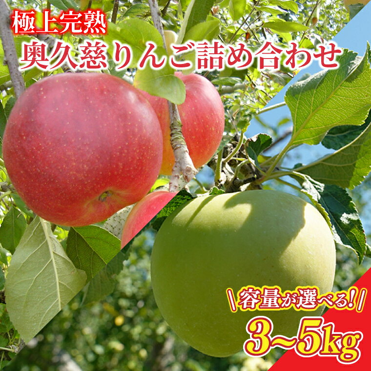 【ふるさと納税】【先行予約】樹上完熟の奥久慈りんご詰め合わせ　園主おまかせ約3kg（6～14玉）or 約5kg（12～23玉）【2026年9月下旬頃順次発送開始予定】斉藤りんご園第2直売所｜茨城県 大子町 林檎 果物 フルーツ 旬(CG001)