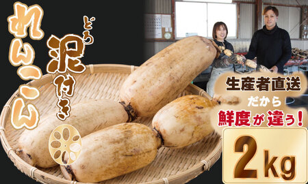 佐賀県産泥付きれんこん（2kg） もりながファーム A070-023 レンコン 蓮根 レンコン 野菜