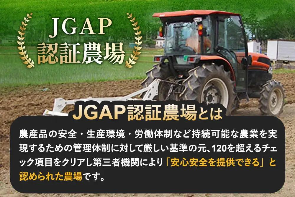 金のいぶりがっこ スライス140g×10袋
