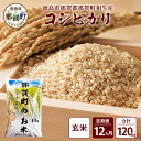 【ふるさと納税】【お米の定期便12回】那賀町のお米 コシヒカリ (玄米) 10kg×12回 計120kg【徳島県 那賀町 相生 国産 玄米 コシヒカリ 10kg 10キロ 120kg 120キロ 産地直送】YS-29