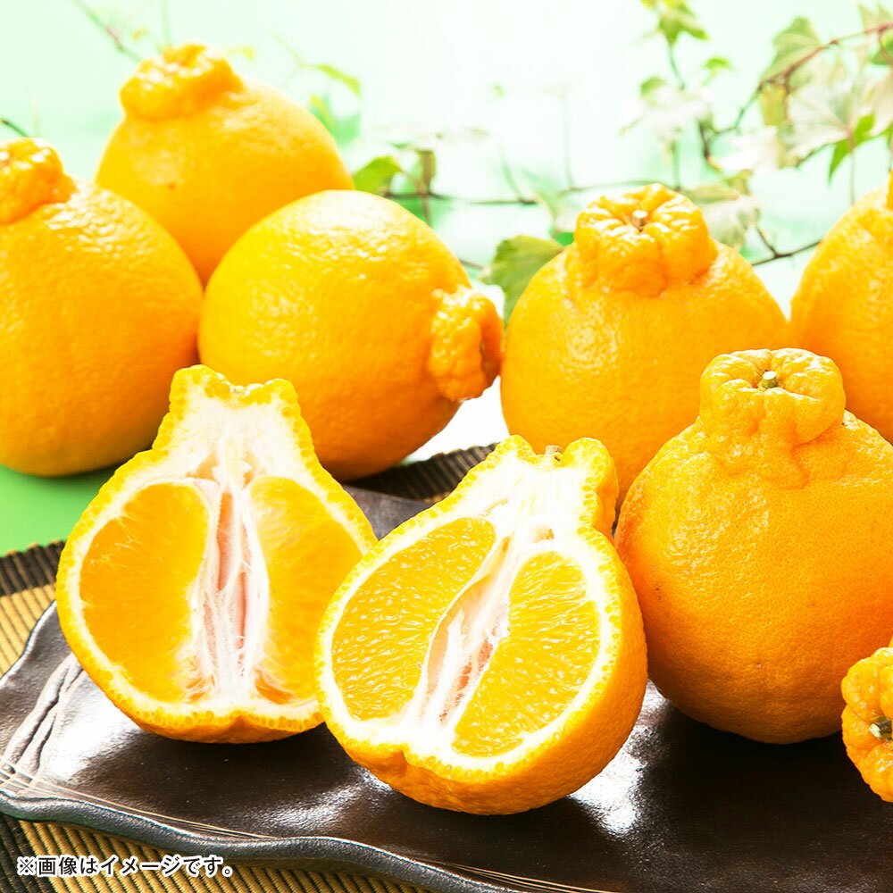 【ふるさと納税】熊本県産 デコポン 5kg 15～24個 柑橘 みかん ミカン 蜜柑 でこぽん 果物 くだもの 果実 フルーツ 九州 熊本県 送料無料 【2026年1月下旬～5月上旬順次発送予定】