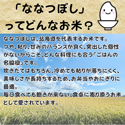 【令和7年産先行受付】北海道深川産ななつぼし5kg(普通精米)