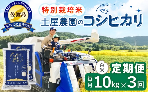 【令和8年産新米 3ヶ月】佐渡島産コシヒカリ 白米 10kg 特別栽培米