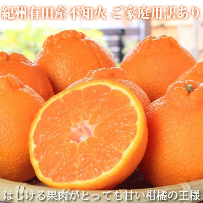 ［ご家庭用訳有り］紀州有田産不知火(しらぬひ) 約8.5kg［2027年2月中旬以降発送］［先行予約］［UT41］