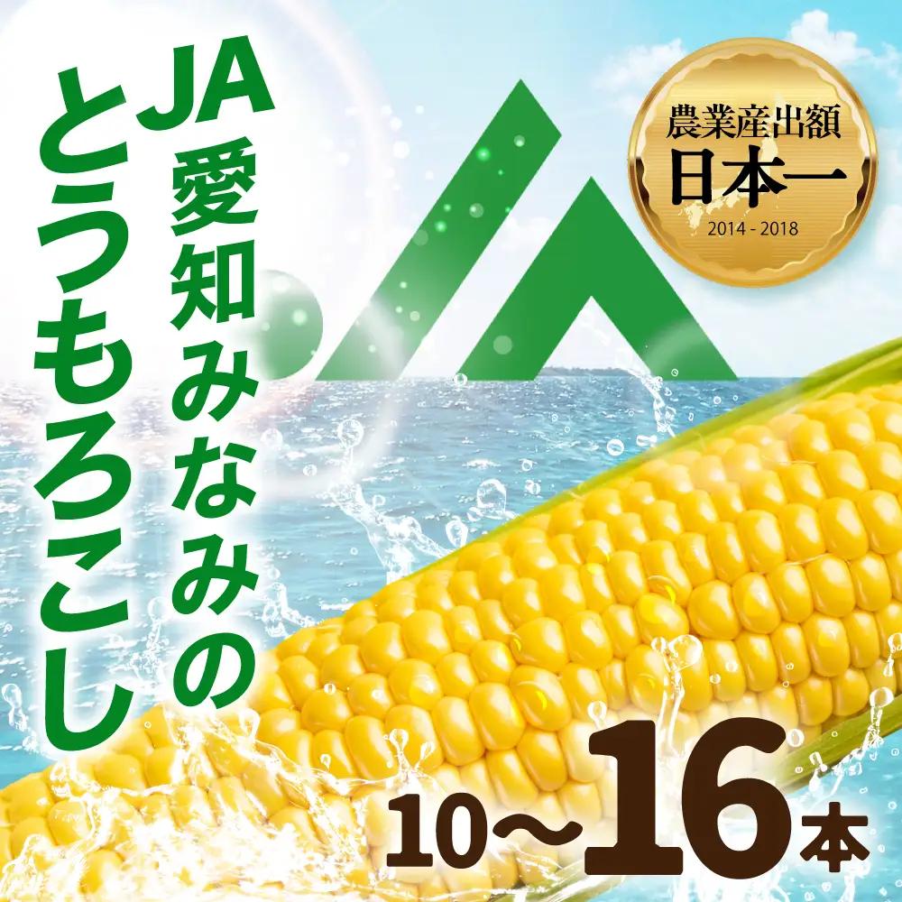 朝採れ とうもろこし 10~16本 イエロー とうもろこし