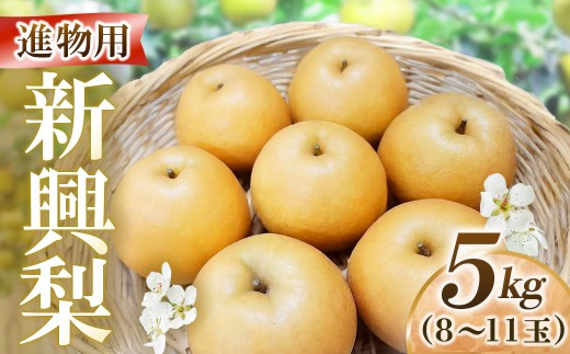 新興梨【進物】5kg（岸田秀果園） 鳥取 梨 なし ナシ 果物 フルーツ 和梨 新興梨 しんこうなし 人気  進物 贈答用