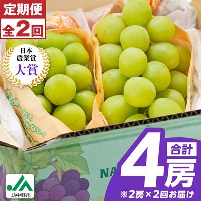 ふるさと納税 中野市 【発送月固定定期便】〈2026年発送〉シャインマスカット2房1kg以上　JA中野市から直送全2回