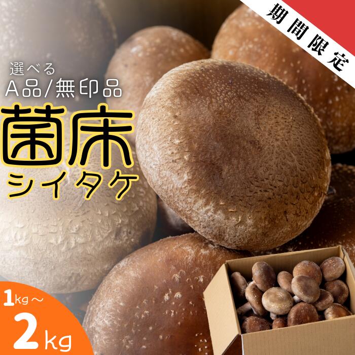 【ふるさと納税】ファーム吉五郎　菌床シイタケ　しいたけ　椎茸　生シイタケ