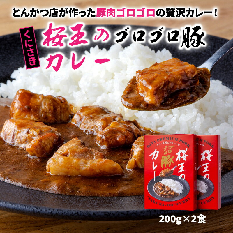 【ふるさと納税】くにさき桜王 ゴロゴロ豚カレー 200g×2食 ポークカレー レトルト 便利 電子レンジ可 贅沢 大きい具材
