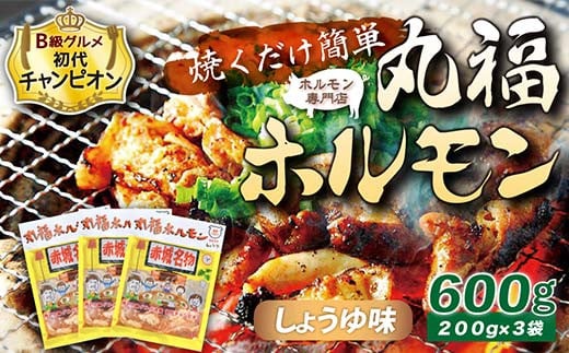 【定期便・全2回】 焼くだけ簡単「丸福ホルモン (しょうゆ味)」定期便 合計1.2kg（600g×2回）｜豚ホルモン 豚⾁ 焼⾁ BBQ ガツナンコツ レバー ⽩モツ ⼤トロ ちょい飲み 味付き 冷凍便 F4H-0506