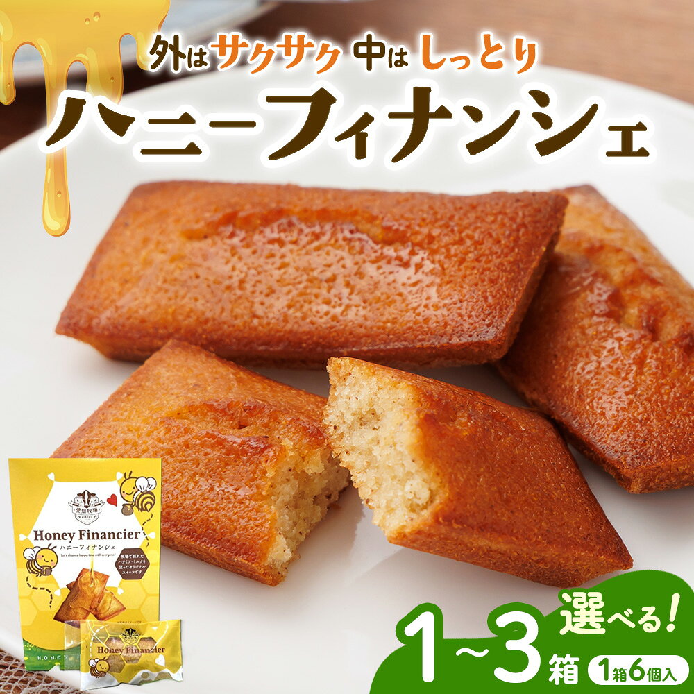 【ふるさと納税】＼選べる内容量／ ハニーフィナンシェ（6個入り）1箱～3箱 | お菓子 焼菓子 洋菓子 スイーツ フィナンシェ はちみつ おやつ 手土産 お土産 個包装 日進市 愛知