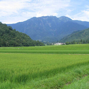 日本酒  八海山 純米大吟醸 雪のなかの酒 720ml