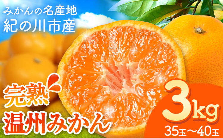 
            みかん【先行予約】完熟 温州みかん 約3kg (35~40玉) こだまファーム《10月中旬-2月中旬頃出荷》 和歌山県 紀の川市 みかん ミカン 果物 フルーツ
          