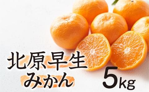 AA139.【予約受付・期間限定商品】北原早生みかん（5kg程度）.2025年10月～11月配送