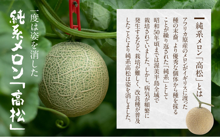 《先行予約》2027年　純系古田メロン2玉 メロン 石井農園