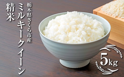
            令和7年度　栃木県さくら市産ミルキークイーン　精米5kg｜米　白米　コメ　こめ　菜っ葉館※2025年11月上旬頃から順次発送予定
          