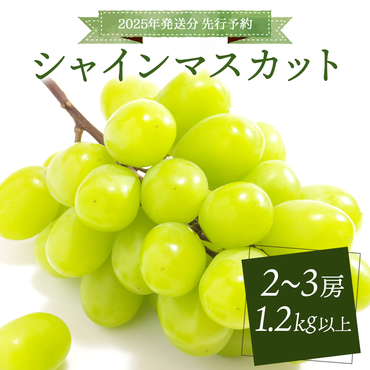 ＜2025年発送分 先行予約＞シャインマスカット 1.2kg以上（2〜3房）【025-a021】