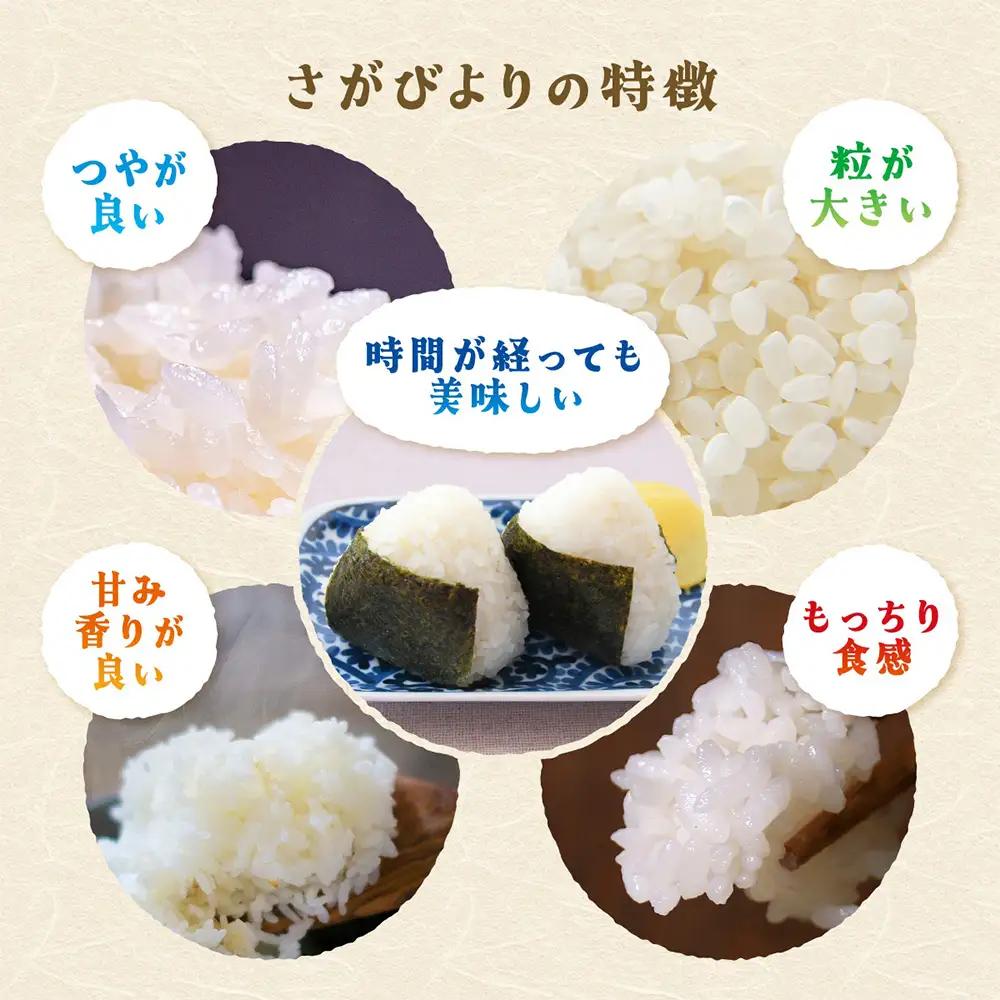 無洗米 さがびより 30kg 定期便 12回（12か月） 佐賀県産 V-37 合計360kg お米 白米 精米