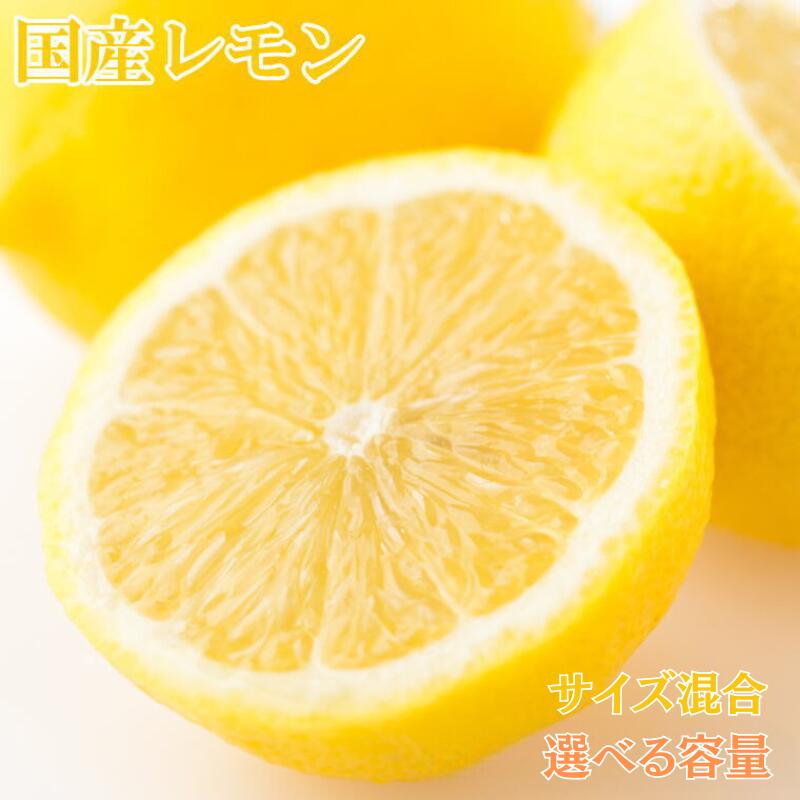 【ふるさと納税】【産直】和歌山産レモン 【選べる容量】（サイズ混合）約3kg 約5kg ※ 2026年3月下旬頃から5月上旬頃順次発送予定（お届け日指定不可） / れもん レモン 檸檬 果物 柑橘 フルーツ 和歌山 おすすめ 予約