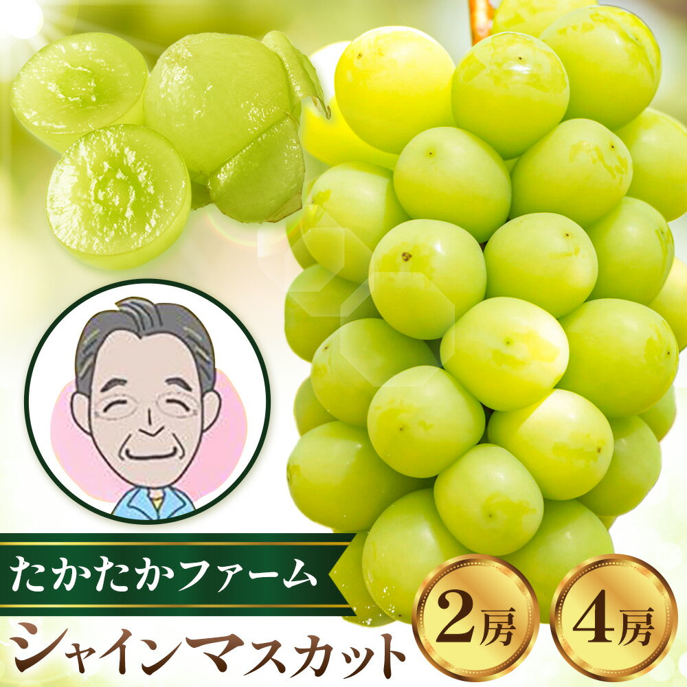【ふるさと納税】ぶどう シャインマスカット マスカット 2房 1kg 4房 2kg 《9月上旬-9月下旬頃出荷》 たかたかファーム ブドウ 葡萄 マスカット 果物 フルーツ ギフト 岡山県 笠岡市