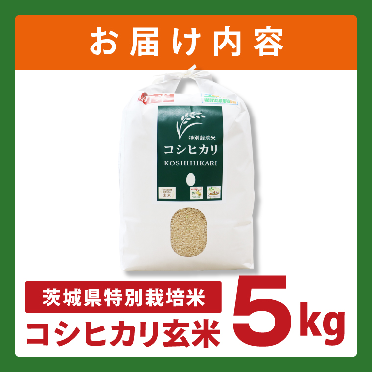 令和7年産 茨城県特別栽培米コシヒカリ ネオニコフリー玄米5kg｜米 おこめ こしひかり 農家直送 直送 茨城県 阿見町（04-30）