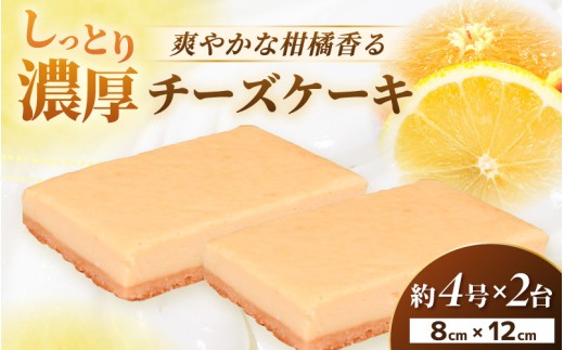 【訳あり】濃厚スイーツ チーズケーキ スクエア（8cm×12cm×2個セット）【2026年9月発送】【デザート 菓子 お菓子 洋菓子 スイーツ おやつ クッキー生地 冷凍】 [e44-a014_09]