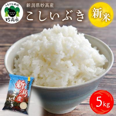 ふるさと納税 妙高市 【2025年12月上旬発送】令和7年産 新潟県妙高産こしいぶき5kg