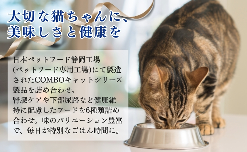 キャットフード：コンボ6種類アソート 日本ペットフード ネコ 猫 愛猫 ケア ペット えさ セット 健康 栄養 COMBO バラエティ