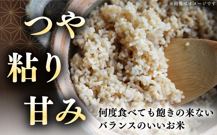 お米 コメ 玄米 北海道 ブランド米 ななつぼし 定期便 北海道産
