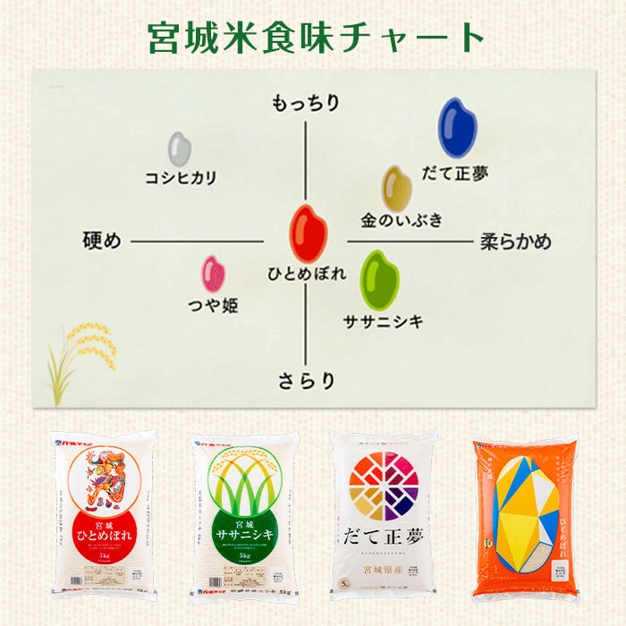 ＜3ヶ月定期便＞宮城県産 ササニシキ 合計30kg (10kg×3回) お米 おこめ 米 コメ 白米 ご飯 ごはん おにぎり お弁当 ブランド米 ささにしき 宮城米 頒布会【株式会社パールライス宮城】ta596
