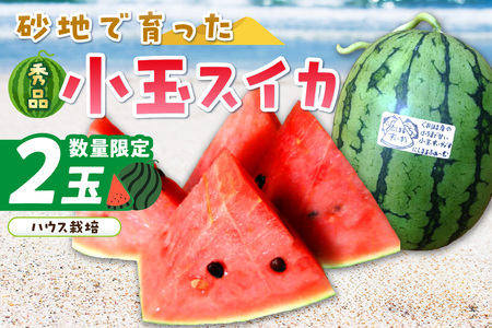 【先行予約／数量限定100】スイカ にしまるスイカ 秀品 2玉｜2026年6月中旬から発送