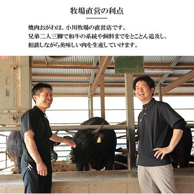 ふるさと納税 雲仙市 【毎月定期便】焼肉おがわ 長崎和牛焼肉 4種(上バラ・上モモ・上ロース・上カルビ)(雲仙市)全6回 |  | 03