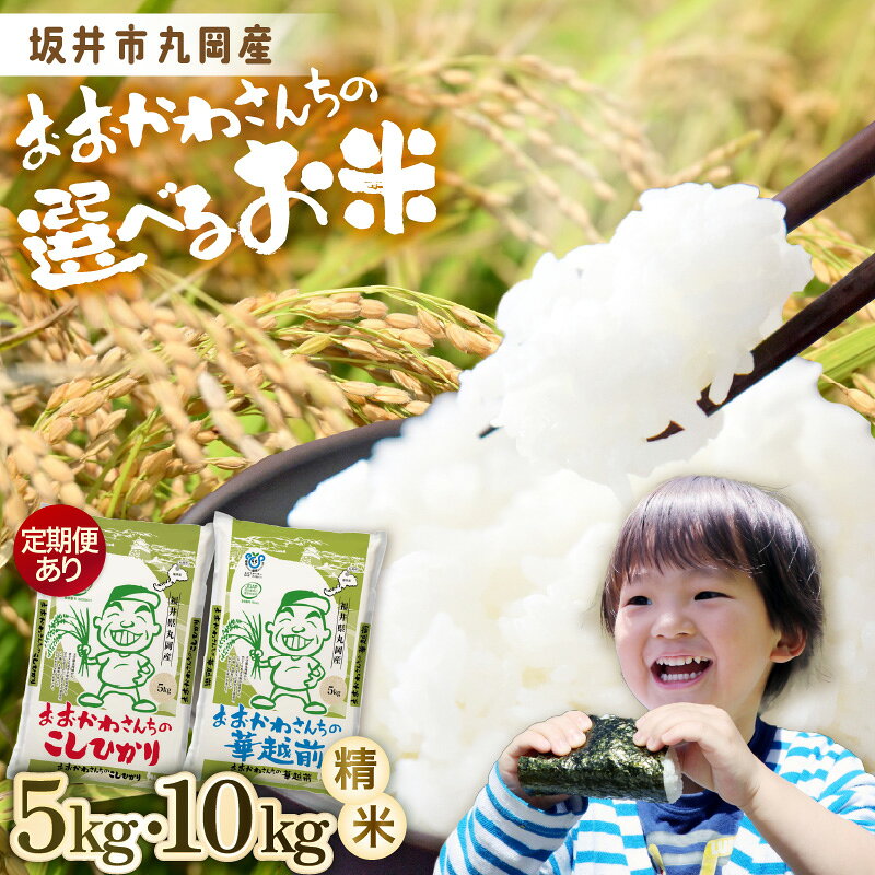【ふるさと納税】 米 令和7年産 おおかわさんちのお米 5kg〜 選べる品種 コシヒカリ / ハナエチゼン 【選べる内容量・発送回数】 定期便 5kg 10kg 6ヶ月 12ヶ月 5キロ 10キロ 米 こめ お米 精米 ブランド米 こしひかり 華越前 コスパ 国産