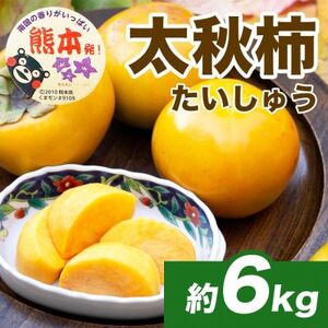 太秋柿　約6kg(16～32玉)(益城町)【配送不可地域：離島】【1640458】