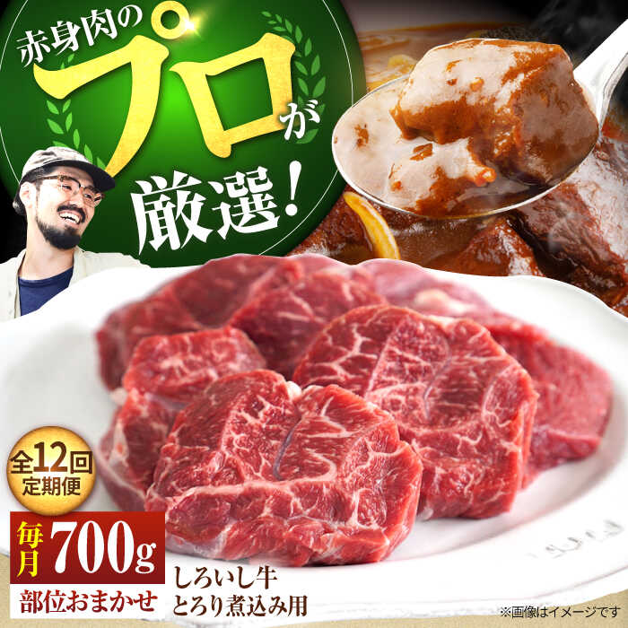 【ふるさと納税】【牧場直送】【12回定期便】佐賀県産しろいし牛 とろり煮込み用 700g【有限会社佐賀セントラル牧場】お肉 肉 牛肉 冷凍 カレー シチュー すね [IAH141]