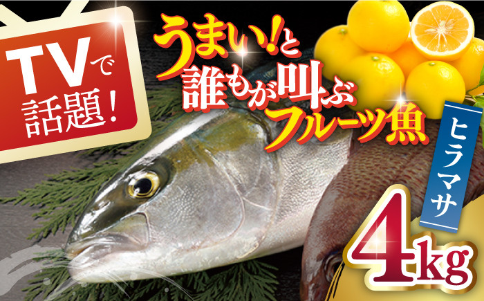 
            【着日指定 可能】【一度食べるとやみつきに！最高のお魚をご用意しました】ヒラマサ 平戸なつ香 ヒラス 丸々1匹（約4kg） 平戸市 / 坂野水産 [KAA001]
          