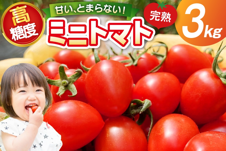 
                  トマト 〜高糖度 しあわせのトマト〜 ミニトマト アイコ 3kg [会宝産業 石川県 宝達志水町 38601343] 野菜 とまと やさい tomato あいこ フルーツトマト みにとまと 甘い 高糖度 完熟 リコピン 産地直送
                