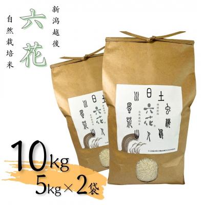 ふるさと納税 三条市 令和7年産米 新潟越後 自然栽培米コシヒカリ 10kg(5kg×2袋)数量限定【031S010】