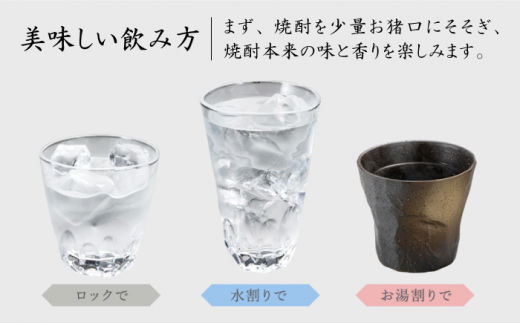 麦焼酎 隆美焼酎 25度 720ml 2本 《壱岐市》【天下御免】[JDB006] 麦焼酎 むぎ焼酎 お酒 12000 12000円 