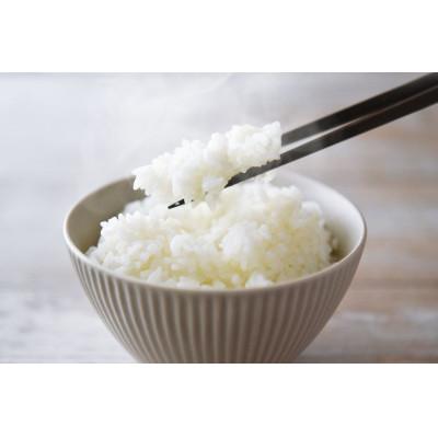 ふるさと納税 千曲市 【令和7年産】コシヒカリ 精米 10kg |  | 01