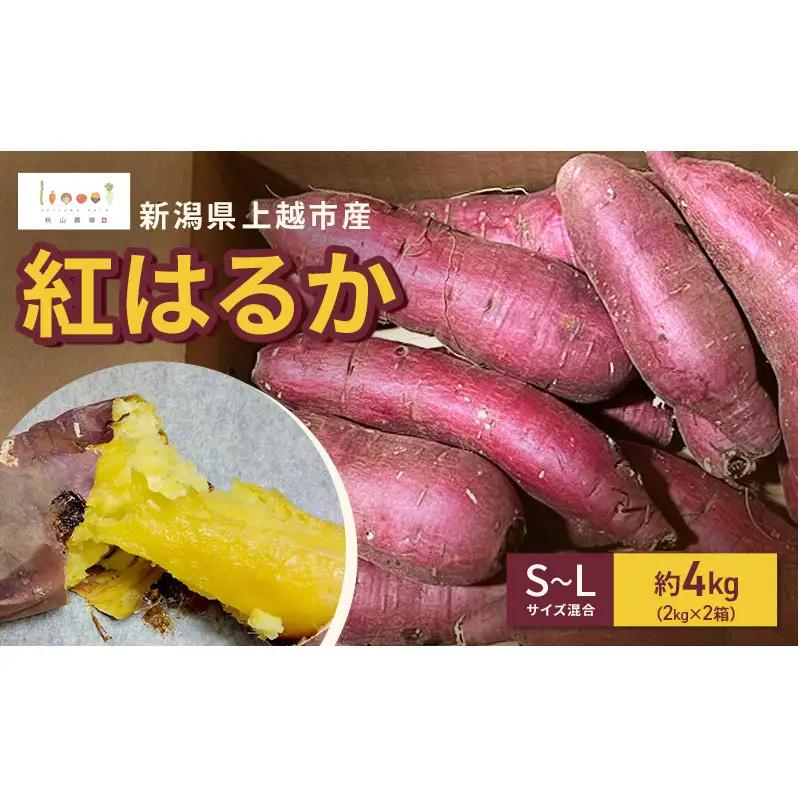 新潟県上越市産 紅はるか サツマイモ さつまいも S-Lサイズ混合 約4kg（2kg×2箱） 秋山農場グリーンプロジェクト