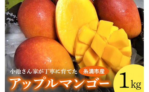【2026年発送】小池さん家が丁寧に育てた アップルマンゴー 1kg 沖縄県産 マンゴー アーウィンマンゴー 1キロ 国産 完熟マンゴー 果物 南国 くだもの フルーツ 完熟 夏 旬 沖縄 お取り寄せ 産地直送 農家直送 甘い 濃厚 糸満市