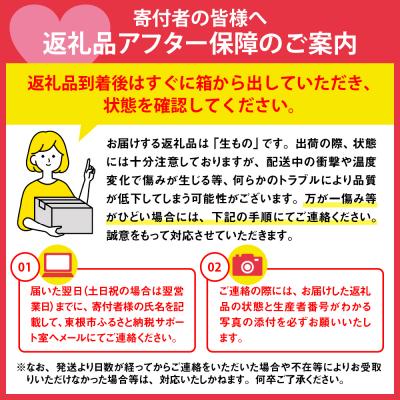 ふるさと納税 東根市 【2026年 先行受付】ぶどう「シャインマスカット」2房 (約1.3kg〜1.4kg) 山形県 東根 |  | 03
