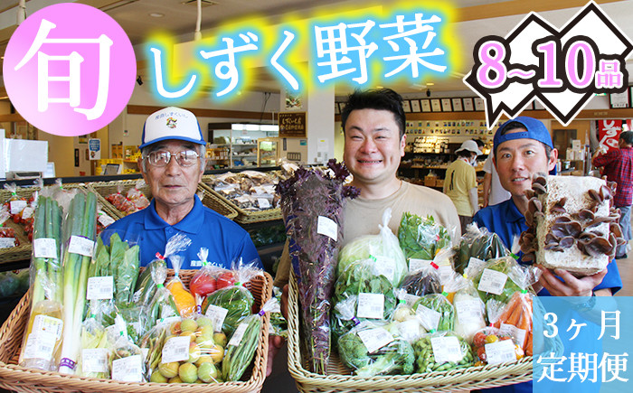 
産地直送 季節の新鮮野菜 8～10品 詰め合わせ 3ヶ月定期便 ／ 野菜 セット 産直 定期便 【あねっこ】
