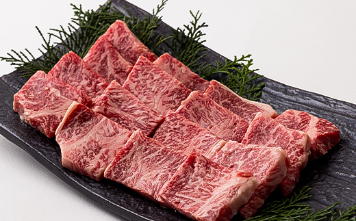 但馬牛焼肉セット 500g【配送不可地域：離島】