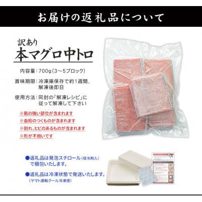 ふるさと納税 いわき市 【2ヵ月毎定期便】本マグロ訳あり中トロ 真空包装 [約700g(3〜5ブロック)]全3回 |  | 01